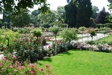 Insel Mainau - Die Blumeninsel im Bodensee © hajo100