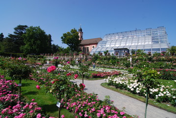 Insel Mainau - Die Blumeninsel im Bodensee © hajo100