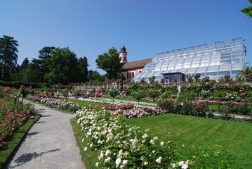 Insel Mainau - Die Blumeninsel im Bodensee © hajo100