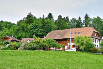 Fototapeta na wymiar Gruyeres, Switzerland - White building with brown shutters and a roof, meadow with green grass, bushes and trees, in the summer afternoon.