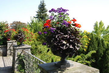 Insel Mainau - Die Blumeninsel im Bodensee © hajo100