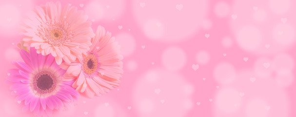 Abstract blur defocused background, gently tinted, Very beautiful blur gerberas on pastel pink background with bokeh and hearts , copy space, banner format