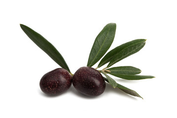 black olives with leaf isolated