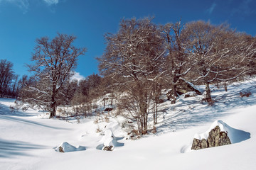 Big Fatra mountains, Slovakia, snowy landscape