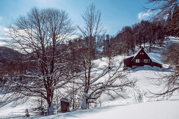 Shelter Limba, Rakytov , Big Fatra mountains, Slovakia