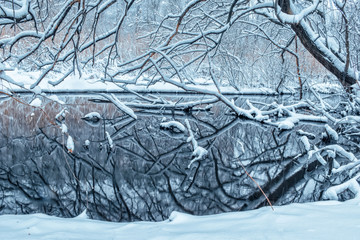 Tree branches covered with white snow or hoar frost over a river or lake on a cold winter day