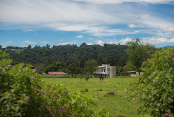 Villa del Carbon, Mexico - Jul 07 2018 The area has a relatively cold climate and the dam is surrounded by conifer forests