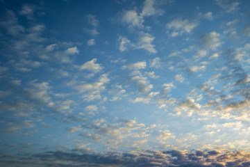 Obraz premium dark Blue sky background with tiny stratus cirrus striped clouds. Clearing evening and Good windy weather