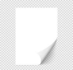 Single pape. Vector white realistic paper page with curled corner. Vector illustration