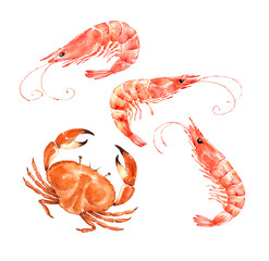boiled shrimp and crab watercolor illustration on a white background. set of red boiled seafood. © Lana