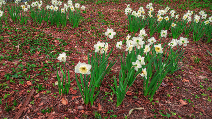 Faune et flore du Bugey
