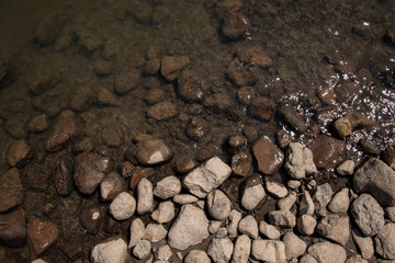Contrast between wet and dry Stones at the edge of a Mexican river
