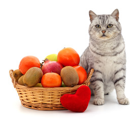 Cat and fruit basket.