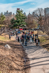 New York City, NY, USA - 25th, December, 2018 - Beautiful Architecture Skyline Buildings view in a cold sunny day in Central Park at the lake near Gapstow Bridge.