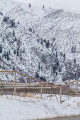 Obraz premium Orchards in winter