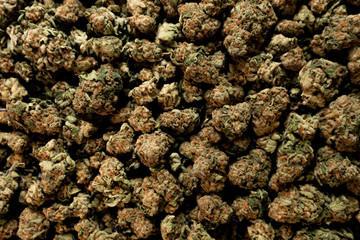 Weed, mariuhana, cannabis, b52