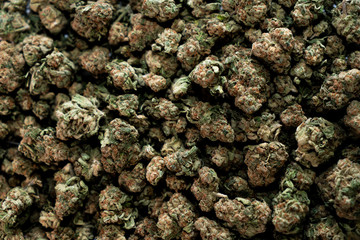 Weed, mariuhana, cannabis, b52