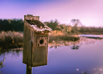 birdhouse on tree