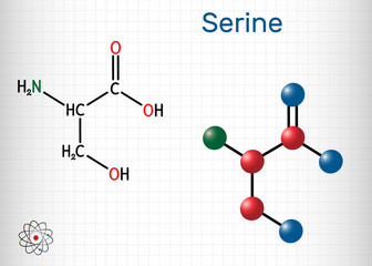 Serine, Ser amino acid molecule. It is used in the biosynthesis of protein. Structural chemical formula and molecule model. Sheet of paper in a cage