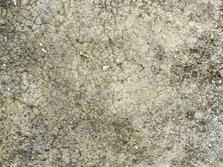 dirty, slightly greenish cement floor with many small stones and unevennesses
