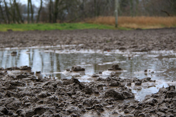 dirty muddy field