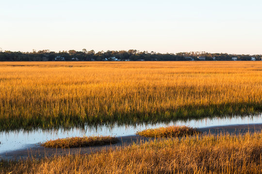 View across the salt marshes and wildlife reserve on a coastal island.,St Simon's Island