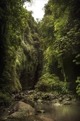 Selbstklebende Fototapete Waldfluss Schlucht mit felsigen Gewölben, die mit üppigen Laubpflanzen bedeckt sind, in der Nähe des wunderschönen Bali-Wasserfalls Sekumpul im tropischen Wald auf Bali Indonesien