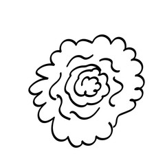 Single doodle outlne flower, leaf, plant, twig. Vector. doodle clipart. Isolated on a white background. For design, cards, invitation, decoration, stickers.
