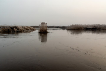 Szron i mgła nad rzeką, Dolina Narwi,Rzeka Narew, Podlasie, Polska