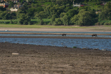 Llano Dam, Villa del Carbon, Mexico ecological park, popular place to practice different activities like, extreme sports, ecotourism, perfect place to visit with your family
