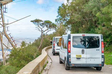 A taxi carries tourists in a nature reserve with a monkey hanging on the window