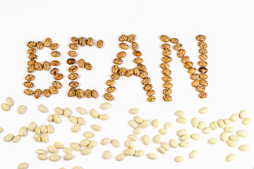 Bohnen mit dem Schriftzug Bean gebildet
