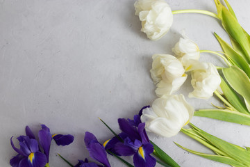 Tulips and irises on a gray concrete background with a copy space.