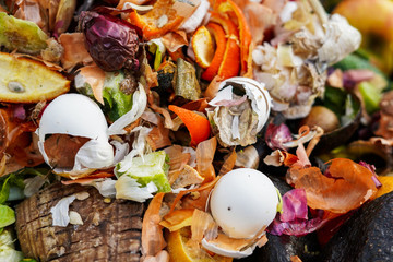 Fruits and vegetables in a compost bin