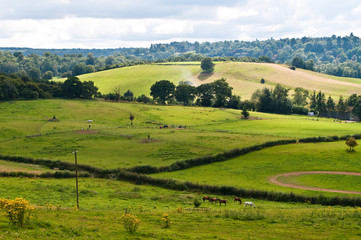 Fototapeta na wymiar Rolling hill in summer near Guildford, Surrey, England, UK