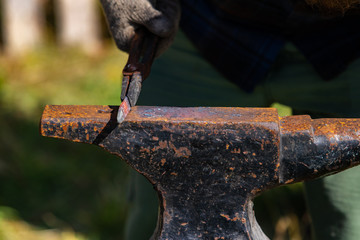 A close up and selective focus shot of a blacksmith anvil, with a glowing heated piece of metal held with tongs, just from furnace with copy space