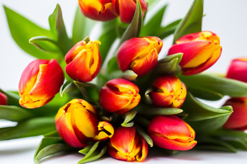 Fototapeta premium Beautiful tseti tulips and roses on a light background