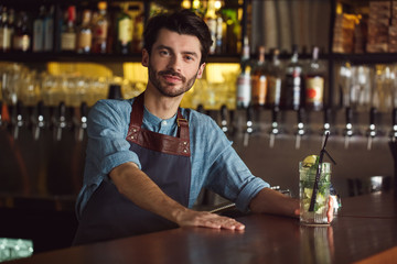 Professional Occupation. Bartender standing at counter serving mojito smiling confident