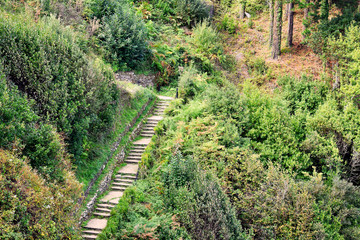 Road to the beach of Sacido, in Viveiro, Lugo, Galicia. Spain. Europe. October 05, 2019