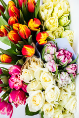 Beautiful tseti tulips on a light background