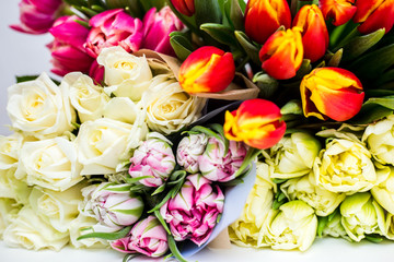 Beautiful tseti tulips on a light background