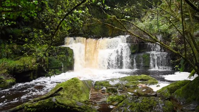 The Chute running high below McLean Falls in the Catlins, Otago, New Zealand. 