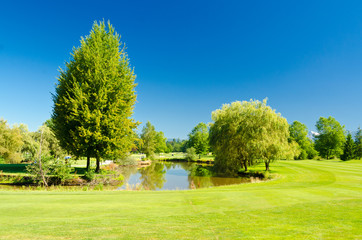 Golf course with gorgeous green and pond.