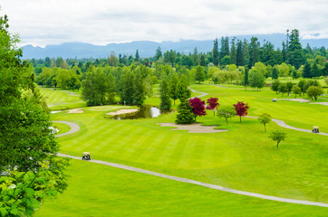Golf course with gorgeous green and pond.
