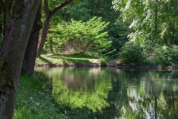 Teich und Bäume