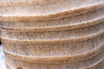Tree trunk of a palm tree