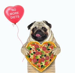 The dog pug is holding a heart shaped pizza and a red balloon with lettering no more diets. He...