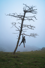 Young man hanging from a leaning tree on a foggy day in Basque Country coast