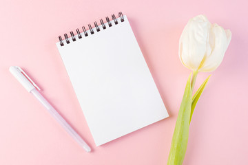 Notebook on a spiral with a blank white sheet, pen and white tulip on a pastel pink background. Flat lay, top view, copyspace, minimalism. The concept of a girl’s diary, notes, ideas.