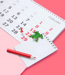 Calendar with marking in red pin of 29 february date. February month calendar, frog, notebook and pencil. Text - once every in four years.